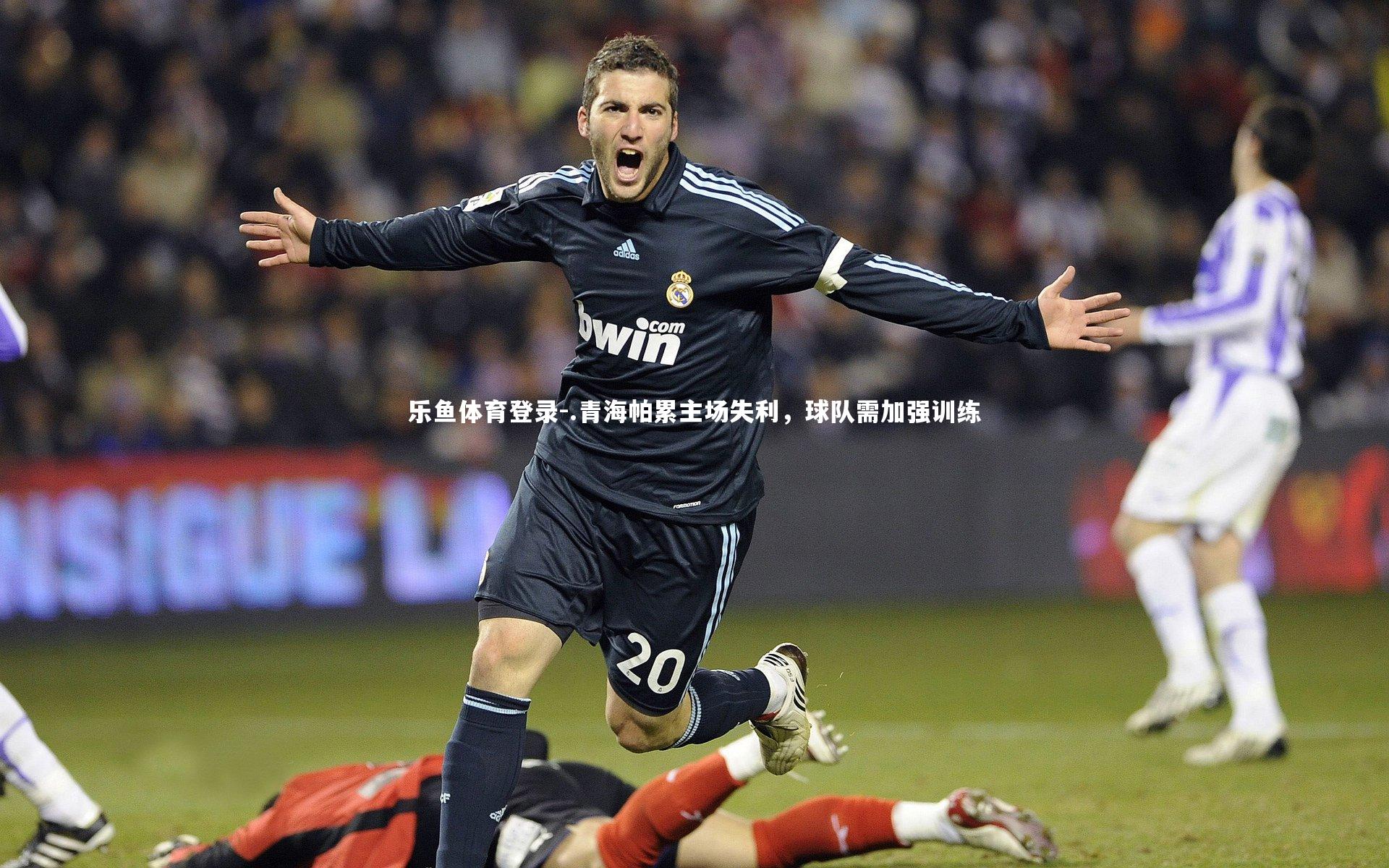 乐鱼体育登录-.青海帕累主场失利，球队需加强训练