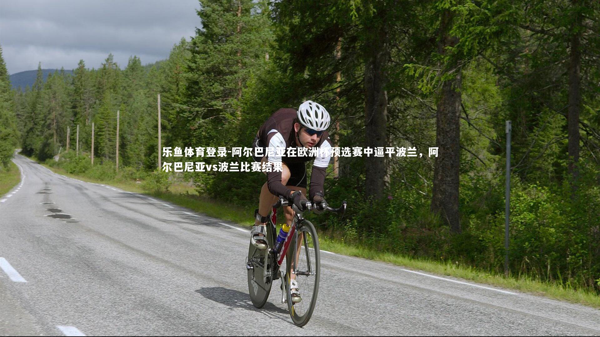 乐鱼体育登录-阿尔巴尼亚在欧洲杯预选赛中逼平波兰，阿尔巴尼亚vs波兰比赛结果