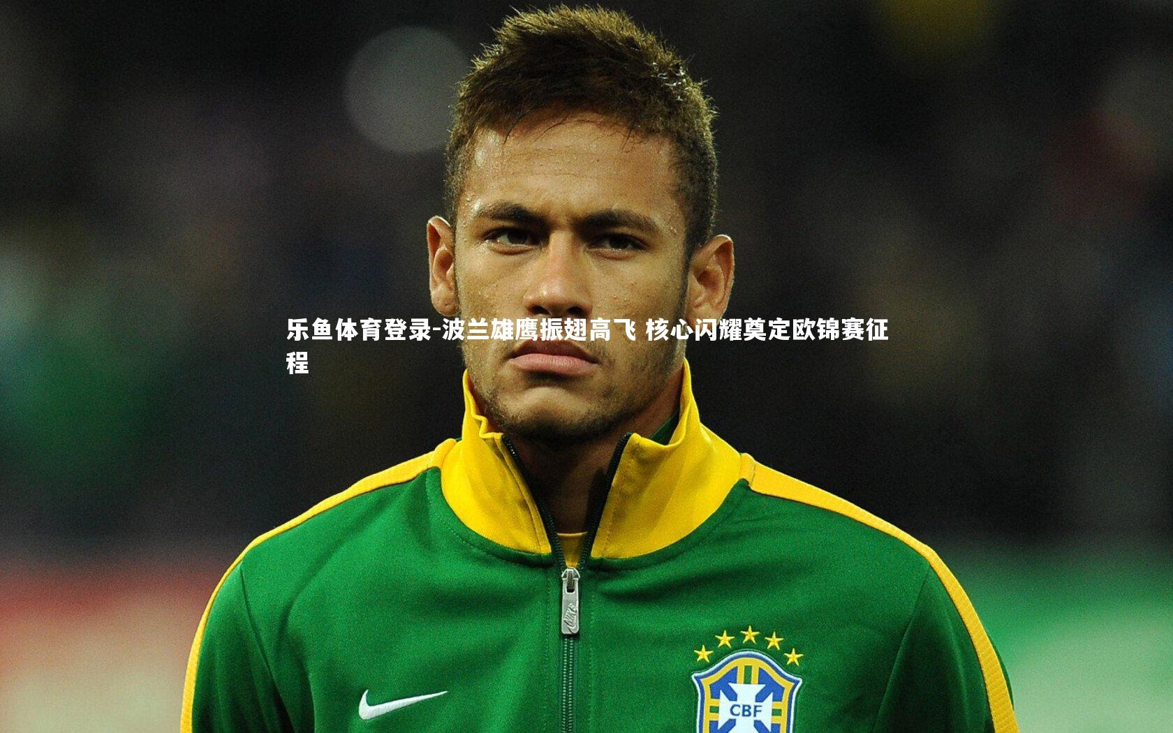 波兰雄鹰振翅高飞 核心闪耀奠定欧锦赛征程