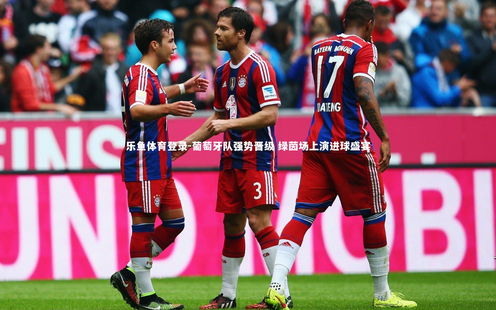 葡萄牙队强势晋级 绿茵场上演进球盛宴